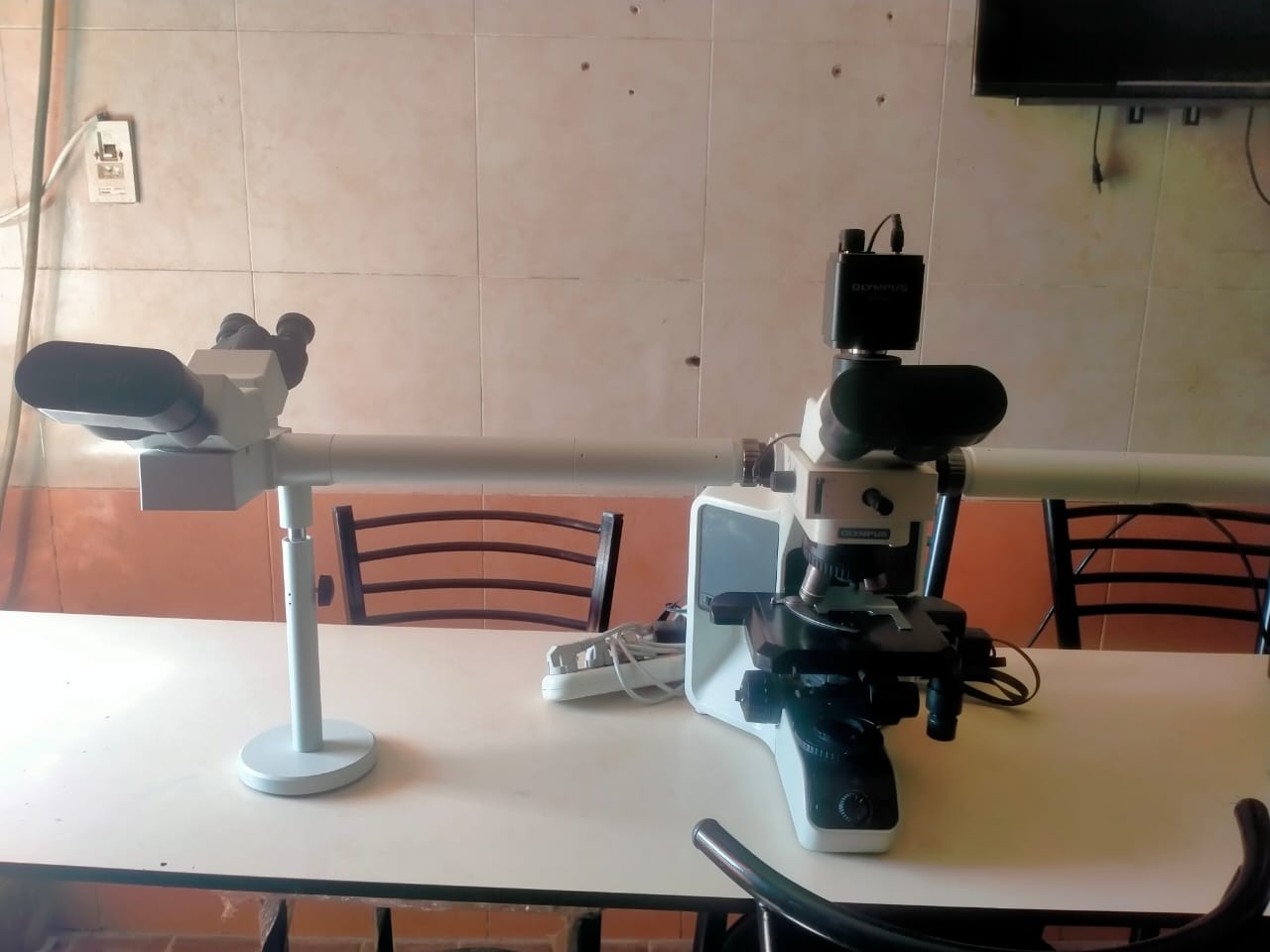 multi head microscopeOptical microscope  (OLYMPUS)